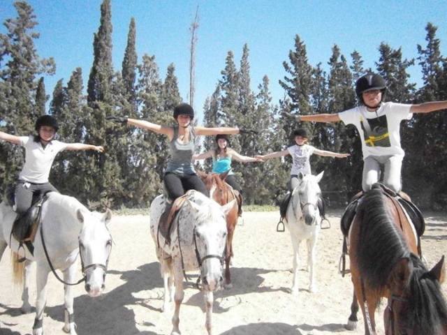 Actividades con caballos